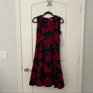 Calvin Klein evening dress, never work, size 10 petite